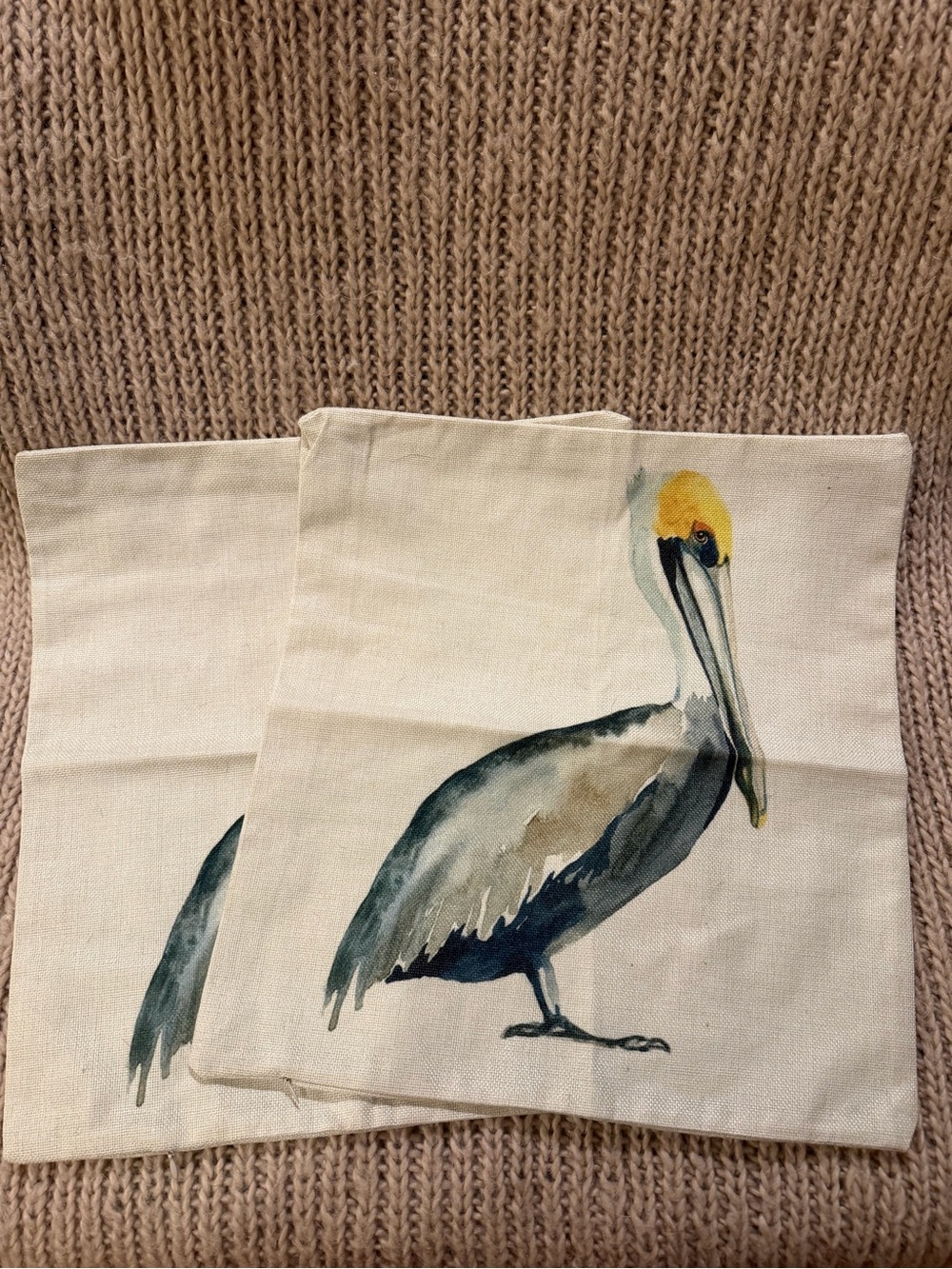 Watercolor Pelican Canvas Pillow Cover - Yellow & Blue Bird Accent